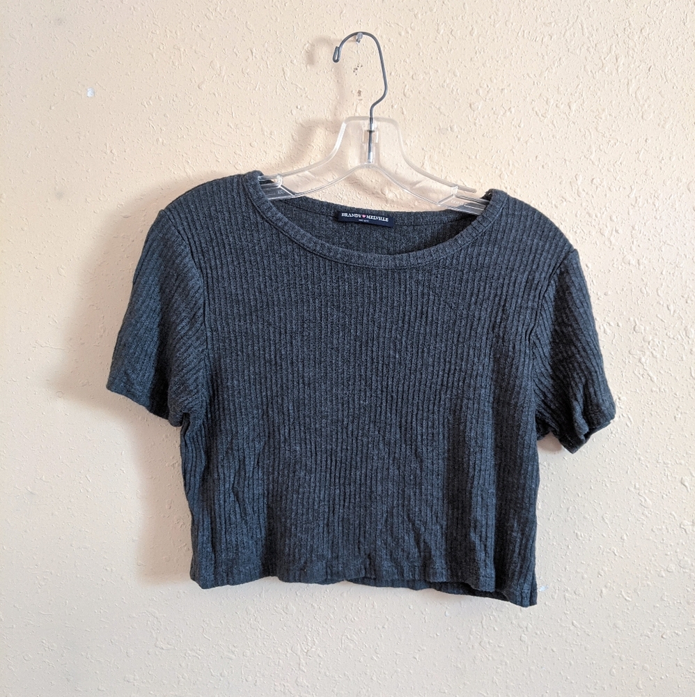 4/ $25 Brandy Melville Ribbed Gray Crop Top